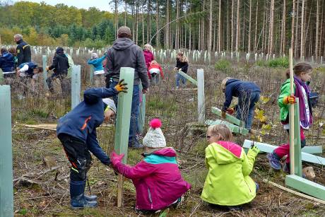 Kinder pflanzen Bäume auf einer Klimaschutzakademie. Kinder pflanzen Bäume